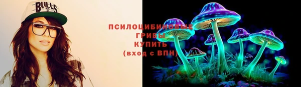 ГАЛЛЮЦИНОГЕННЫЕ ГРИБЫ Бронницы