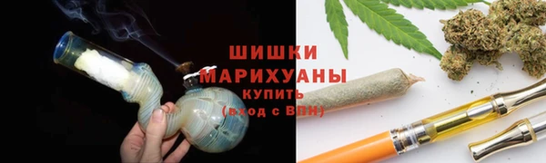 ГАЛЛЮЦИНОГЕННЫЕ ГРИБЫ Бронницы