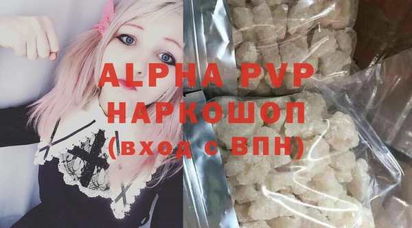 a pvp Бородино