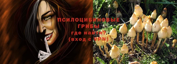 a pvp Бородино