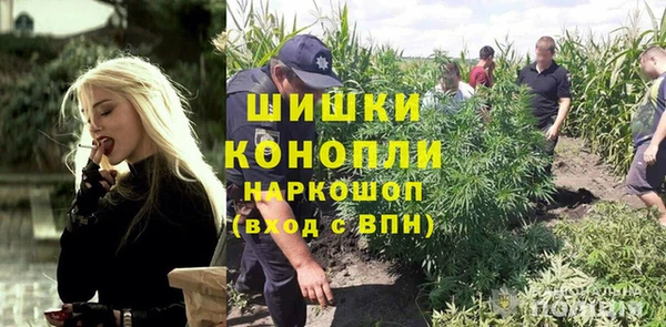 a pvp Бородино