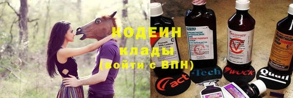 a pvp Бородино