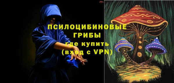 ГАЛЛЮЦИНОГЕННЫЕ ГРИБЫ Бронницы