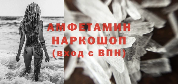 a pvp Бородино