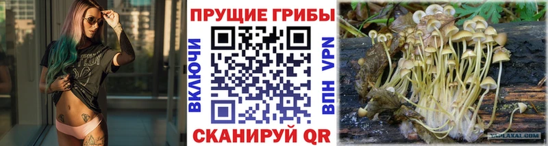 Псилоцибиновые грибы ЛСД  как найти наркотики  omg зеркало  Вилючинск 